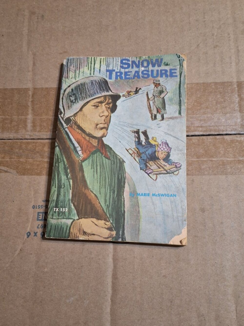 Snow Treasure